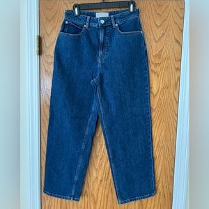 Everlane The Curvy Way High Jean 28